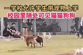 学校设宠物专业学生带自家宠物上学：还设有专门的狗房图片
