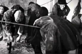 被生活所迫，睡在绳子上的一群英国汉图片