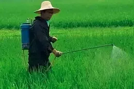 打过“除草剂”的喷雾器如何清洗？很多人不懂图片