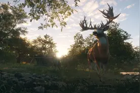 不想肝不想氪金只想佛系的安安静静玩游戏？十大宝藏养老游戏合集图片