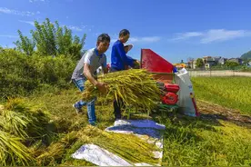 如果中国不进口粮食能养活14亿人吗图片