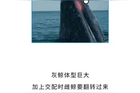 羞耻又逆天的两性知识增加了！还没对象的都进来学！图片