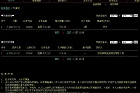 山东潍坊滨城投资暴雷，偿债能力两头受压图片