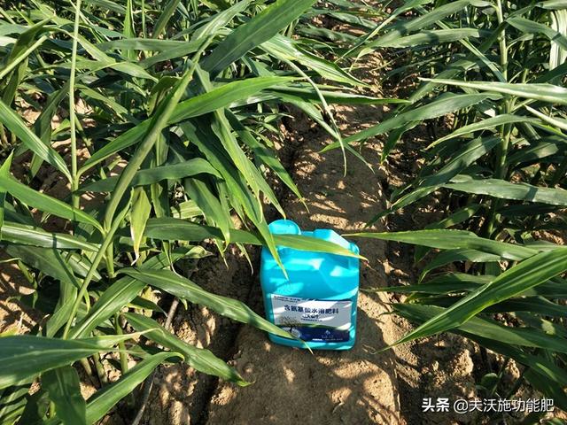 氨基酸水溶肥就选这个品牌