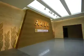 高校大咖齐聚新津，对话千年宝墩文化图片