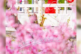海报合集|四季红叶谷：春来花草香 踏青正当时图片