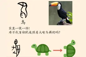 中国汉字，古人的“简笔画”，有趣又宝贵图片