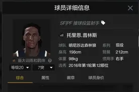 Nba2kol2 难民sf推荐（300w以下）图片