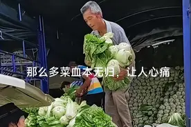 白菜不是白菜？大爷拉白菜过绿通被拒，收费员：不是白菜不免费图片