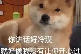 表情包：学习中，请勿打扰图片