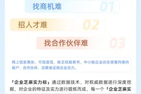 芝麻企业信用上线实力标签图片