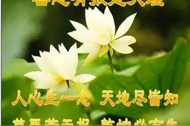 抛弃未婚妻舍弃腹中子他终是有了报应图片