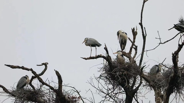 四川省民生研究会新媒体中心-官网