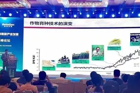 厉害了，济南真有“种”图片