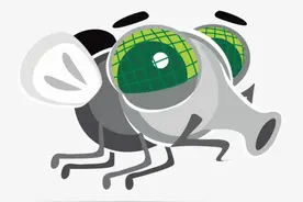 有生之年要查明：苍蝇拧掉自己头还活着，会害怕吗图片