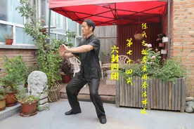 陈式太极拳实用拳法第74式——六封四闭的式名讲解图片