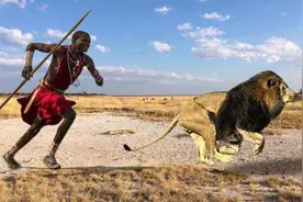 为什么作为草原之王的狮子，会害怕马赛人？马赛人是什么段位？图片