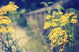 心眼坏的人，往往很喜欢打听这几件事，你要多加提防图片