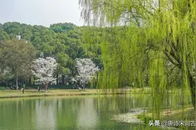 古人的春日游图片