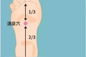 想年轻，这个穴位经常按图片