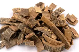 腰椎间盘突出，是脾肾两虚导致的痰湿，2味虫药可解决图片