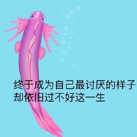 打开朋友圈,发现被一个小游戏刷屏了