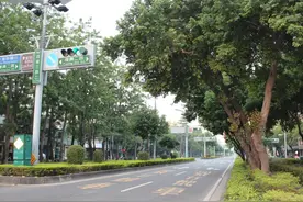 台湾行之居民收入和交通图片