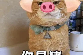 每日表情包 | 你介意多等一会吗图片