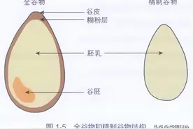 面粉筋道、白、好吃！是因为有“科技与狠活”吗？图片
