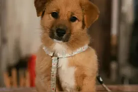 综艺《种地吧》也太好看了吧，我一个95后看的津津有味图片