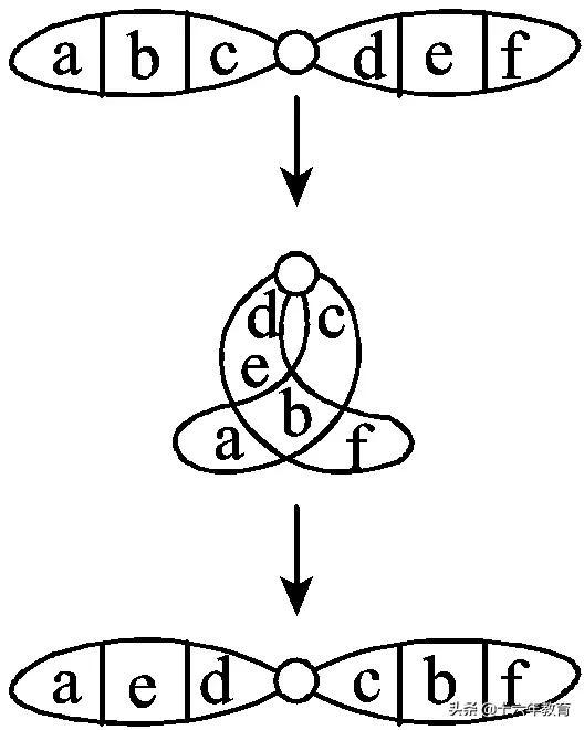 高中生物三年必背知识最全汇总（建议打印）