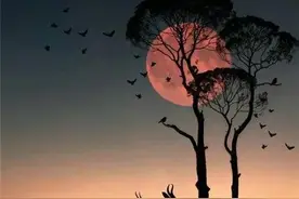 上位者和规则制定者的特权图片