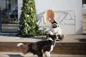 推荐6个北京冬日溜娃好去处，室内温暖如春，户外亲近自然，快收藏起来！图片