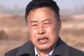 黑龙江大叔创业养鹅,被大雁"拐走"3000只,不成想半年后带回上万只图片