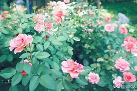 当你被人看不起时，牢记这些话，就是最好的回击图片