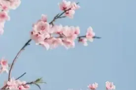 千万不要与这三个星座为敌！脾气不大，但最易智商碾压，很难战胜图片