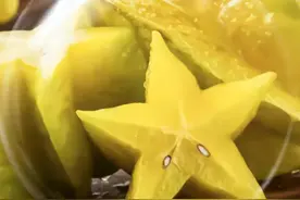 杨桃：酸甜可口的热带之星图片