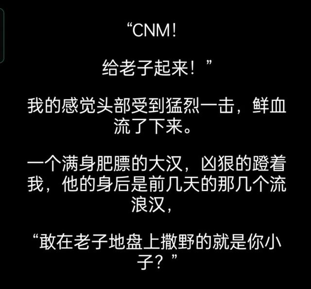 游戏推荐-流浪日记