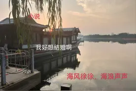 中篇小说《我好想结婚啊》（二）图片