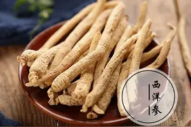 每天学习一味中药——西洋参图片