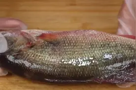 今天才知道，鱼的4个部位，可别再吃了，毒素最高，快告知家人图片