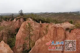 崩岗变绿岗！赣州这地开发果园1400余亩图片