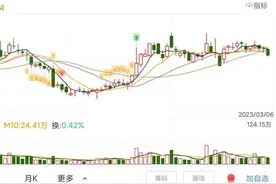 每日一股——西南证券(600369)图片