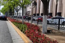 打造“示范路”！让风景无处不在图片