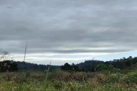 人生的突围图片