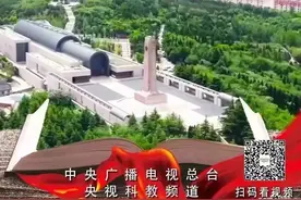 5集连播｜铁道游击队再上央视图片