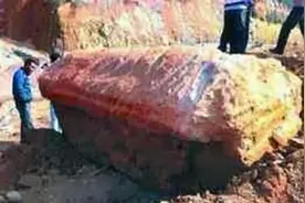 1995四川尸变：僵尸咬人实为狂犬病发作（僵尸是谣言）图片