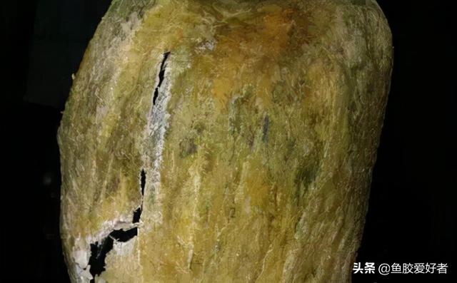 假鱼胶和真鱼胶的区别 假鱼胶炖出来的样子