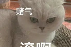 笑话九条：感受一下生活中的小乐趣吧！图片