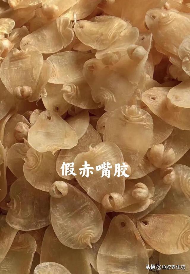四大赤嘴鱼胶排名 赤嘴鱼胶产地哪里?最好